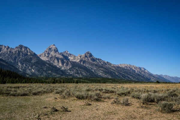 Grand Teton Park-2